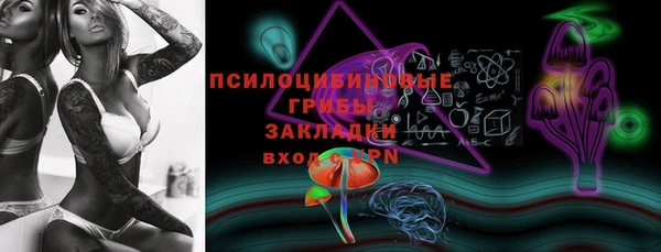a pvp Тавда