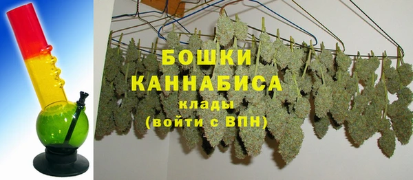 стафф Сясьстрой