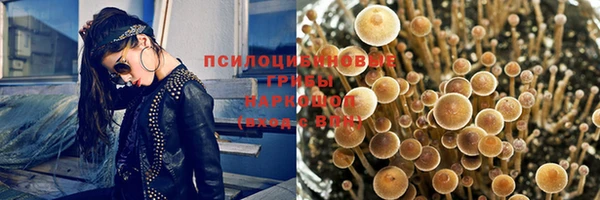 стафф Сясьстрой