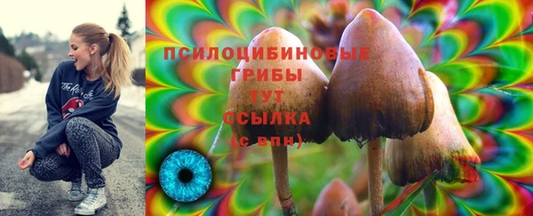 стафф Сясьстрой