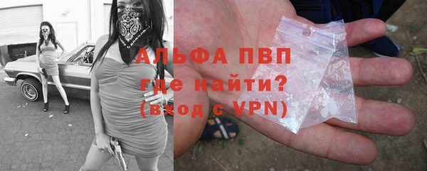 a pvp Тавда