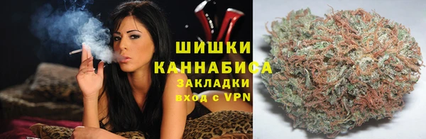 a pvp Тавда