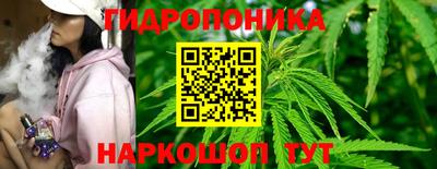 бошки Аргун