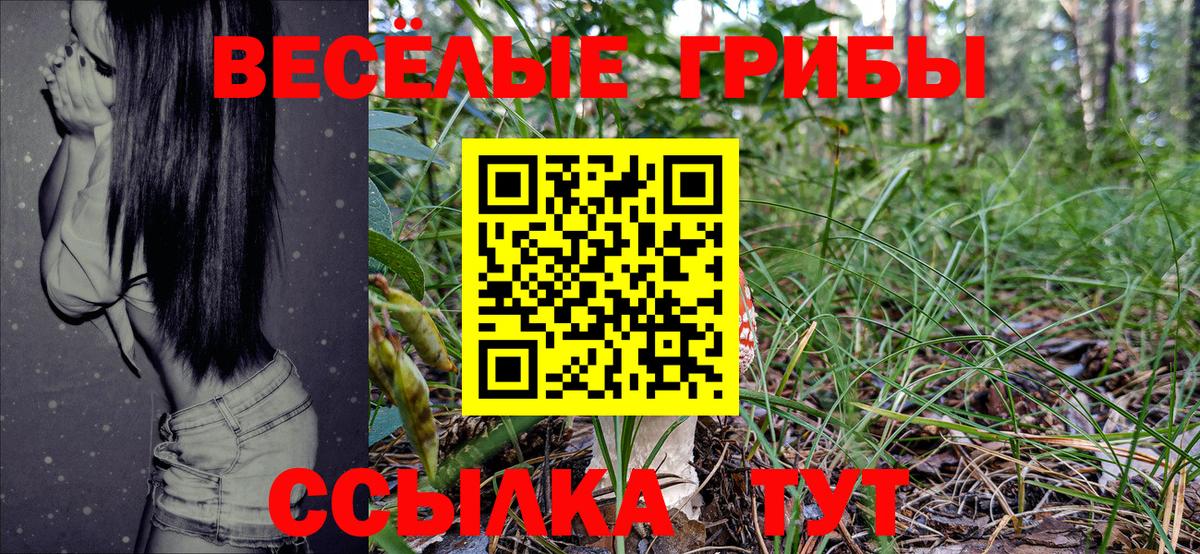 Псилоцибиновые грибы GOLDEN TEACHER  Псилоцибиновые грибы Cubensis  где купить наркоту  Вход с VPN  Владикавказ 