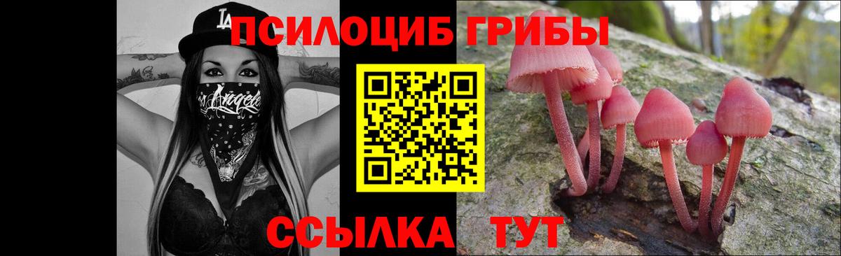 Псилоцибиновые грибы ЛСД Владикавказ